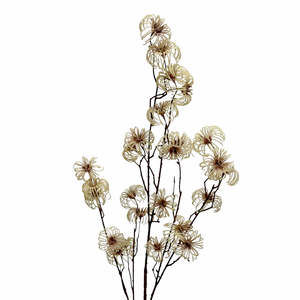 Homewares Living: Wild Clematis Spray Cream 115cm