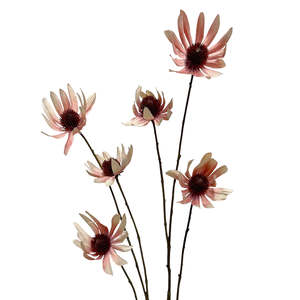 Homewares Living: Rudbeckia Spray Dusky Pink 114cm