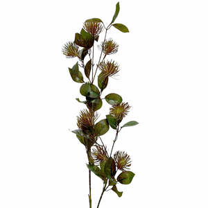 Leucospermum Spray Fall Grey 101cm