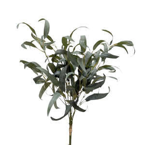 Homewares Living: Eucalyptus Spray Bundle Grey-Green 96cm