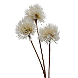 Homewares Living: Dandelion Spray Natural/Brown 76cm