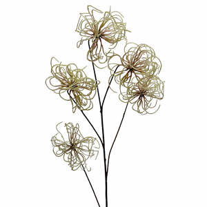 Clematis Seed Pod Spray Cream 94cm