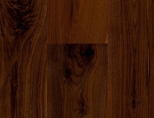 American Walnut