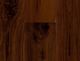 American Walnut