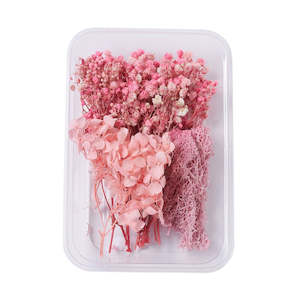 Dried Flowers: Mixed Pink Dried Flowers