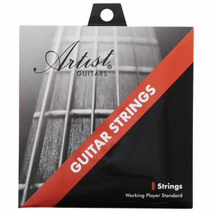 Artist ACST1253 12-53 Acoustic Guitar Steel Strings Gauge