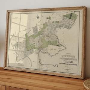 Canterbury: Wellington - 1880