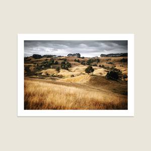 Featured Homepage: Glowing Meadow II