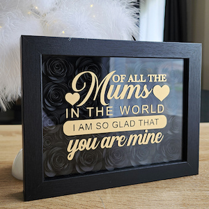 MUM Frame 2