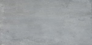 Fossil Dark Grey 450×900 459066