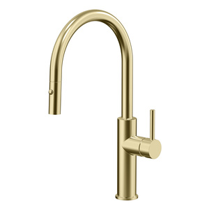 Products: ARUVO™ VENTRO Kitchen Mixer with Pull Out Spray Brushed Brass