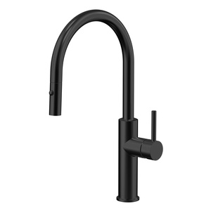 ARUVO™ VENTRO Kitchen Mixer with Pull Out Spray Matte Black
