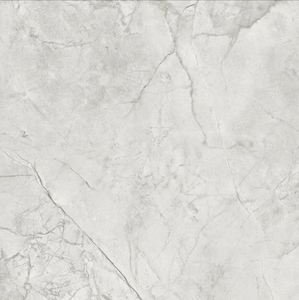 TIMELESS SILVER SATIN 600 x 600 YQI6P760