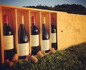 Products: 6-BOTTLE WINE BOX Ascension Wine Estate