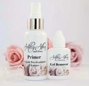 Professional: Professional Primer