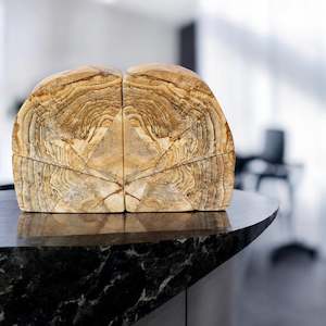 Large picture jasper polished crystal bookends 8.8kg | The Lion