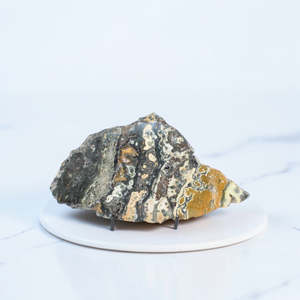 Ocean Jasper Slice on Stand