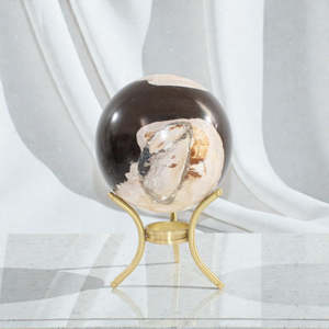Home Interiors Collection: Petrified Wood Sphere on Stand - 1.7kg