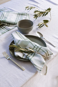 Products: Peppermint Snow Linen Napkin Set