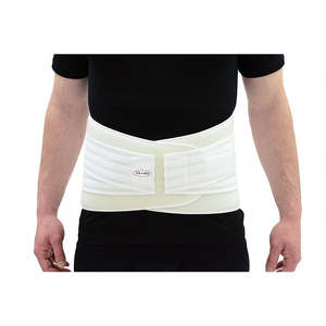 Daily Living: Adjustable Back Support