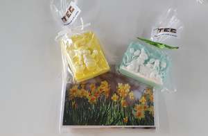 Bathroom And Toilet: PITAU ALLENVALE SCHOOL