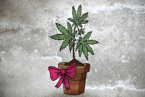 I'M AN ARTWORK A Splash Of Colour