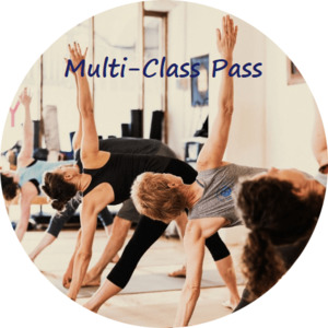 Products: Concession 10 Class Pass