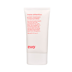 Evo: Evo Mane Attention Protein Treatment