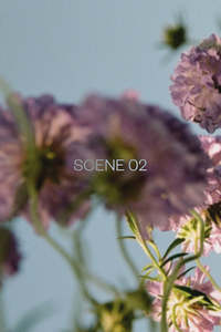 Abel Scene 02 Room Spray 100ml