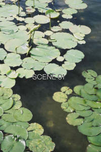 Abel Scene 01 Room Spray 100ml