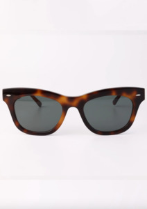 Neufound Freyr Havana