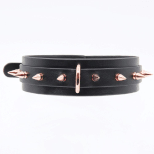 Love In Leather Gold Spike Collar