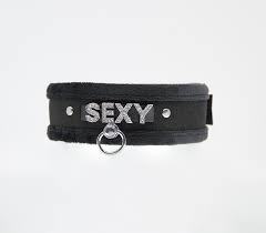 Love In Leather "Sexy" Collar
