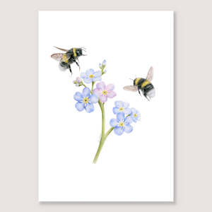 Unframed: Forget Me Not Bees Print