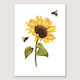 Sunflower and Bees Print