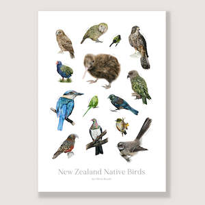 New Zealand Native Birds Print