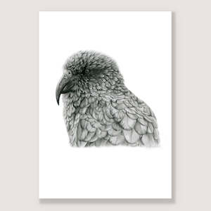 Graphite Kea Print