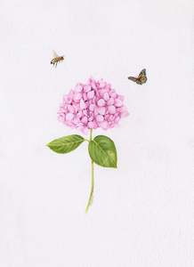 Original Coloured Pencil Art: Original 'Pink Hydrangea, Bee and Butterfly'