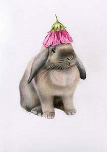Original Coloured Pencil Art: Original 'Rabbit with Flower Hat'