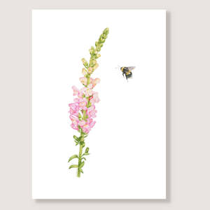 Unframed: Snapdragon and Bee Print