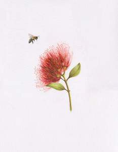 Original 'Pōhutukawa and Bee'