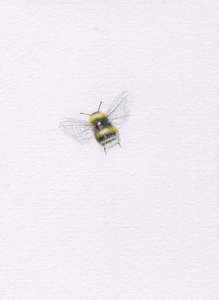 Mini One Off Originals: Mini one-off original 'Busy Little Bee'