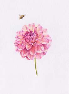 Original 'Dahlia and Bee'