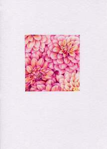 Original 'Dahlias'