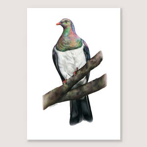 Market Stock Sale 1: SALE - Kererū print A3