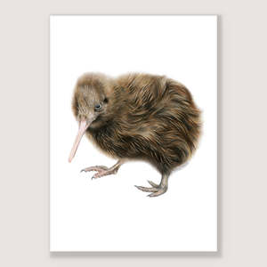 Market Stock Sale 1: SALE - Kiwi print A4