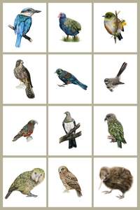 NZ Native Birds 12 Pack Greeting Card set