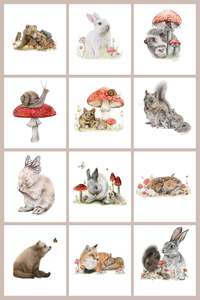 Woodland 12 Pack Greeting Card set