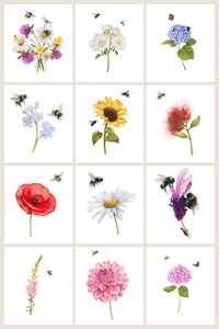 Flowers and Bees 12 Pack Greeting Card set