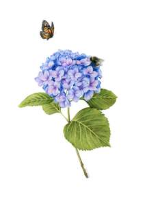 Hydrangea, Bee and Butterfly Greeting Card